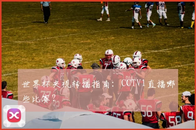 世界杯央视转播指南:CCTV1直播哪些比赛?