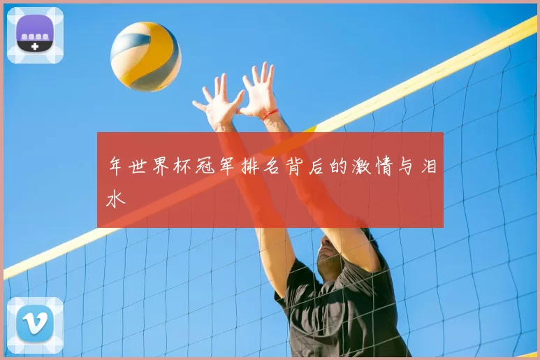 年世界杯冠军排名背后的激情与泪水