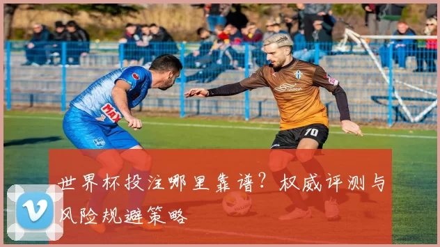 世界杯投注哪里靠谱?权威评测与风险规避策略