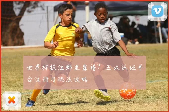 世界杯投注哪里靠谱?五大认证平台注册与玩法攻略