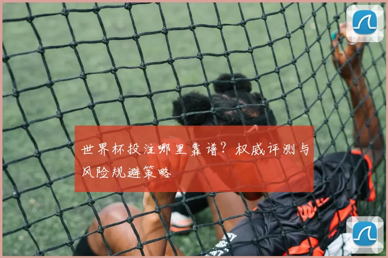 世界杯投注哪里靠谱?权威评测与风险规避策略
