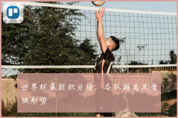 世界杯最新积分榜：各队排名及晋级形势