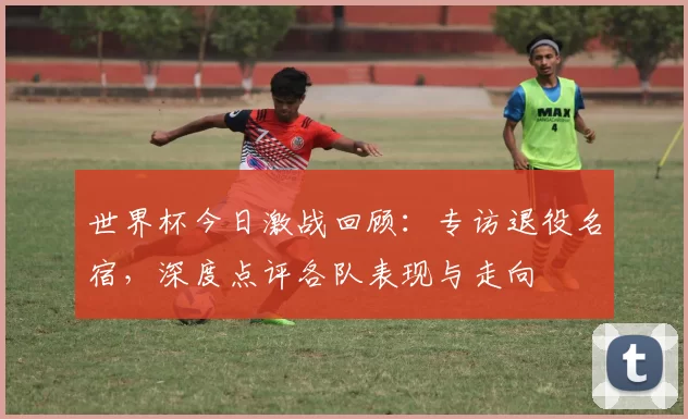 世界杯今日激战回顾:专访退役名宿,深度点评各队表现与走向