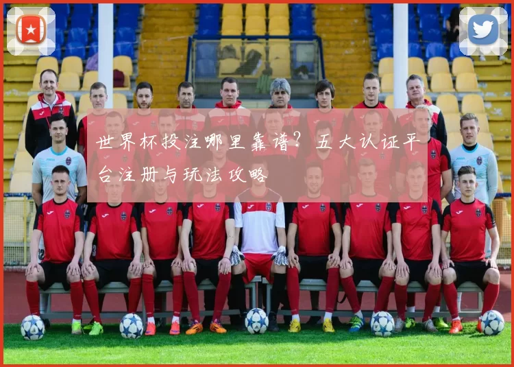 世界杯投注哪里靠谱?五大认证平台注册与玩法攻略