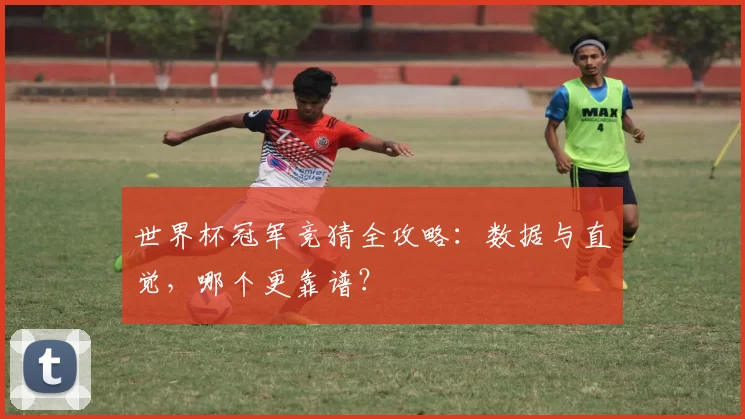 世界杯冠军竞猜全攻略：数据与直觉，哪个更靠谱？